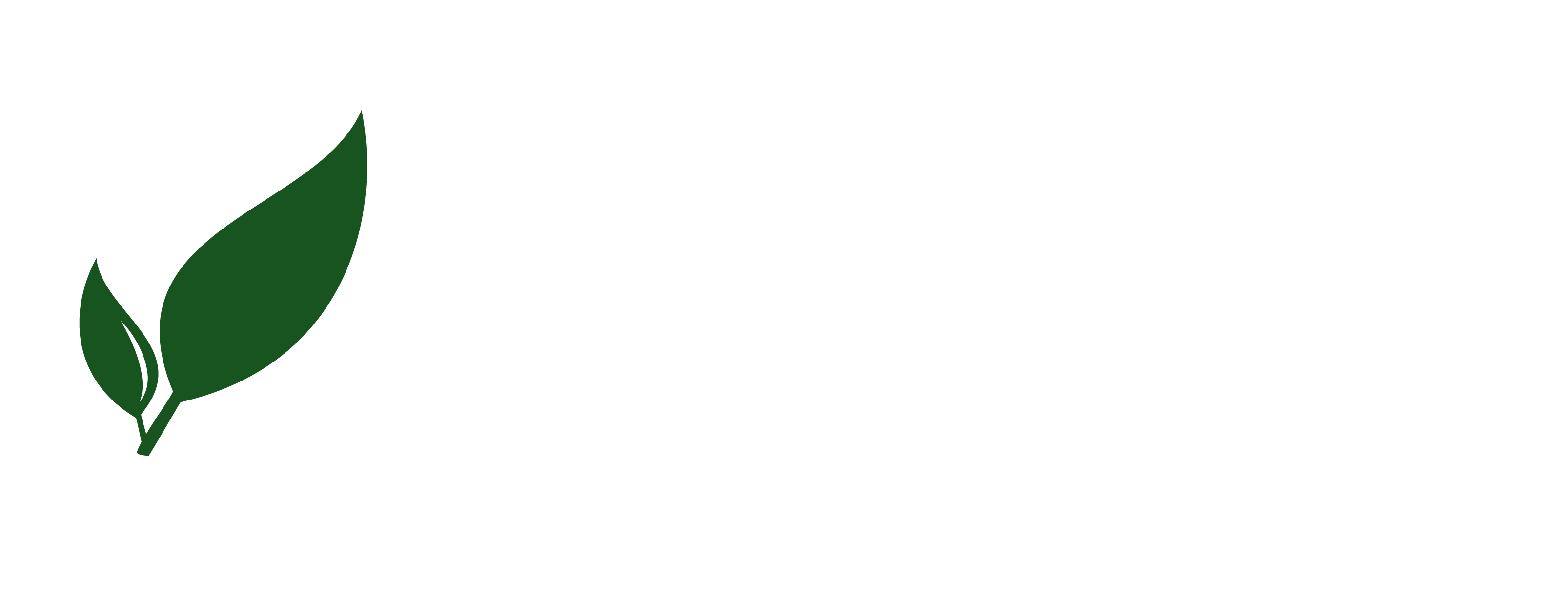 Paperless